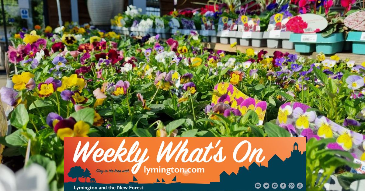 spring flowering plants