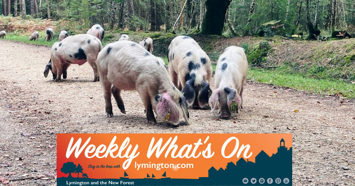 Sculptures at Beaulieu