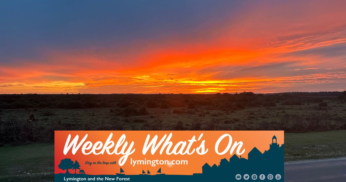 Spectacular forest sunset