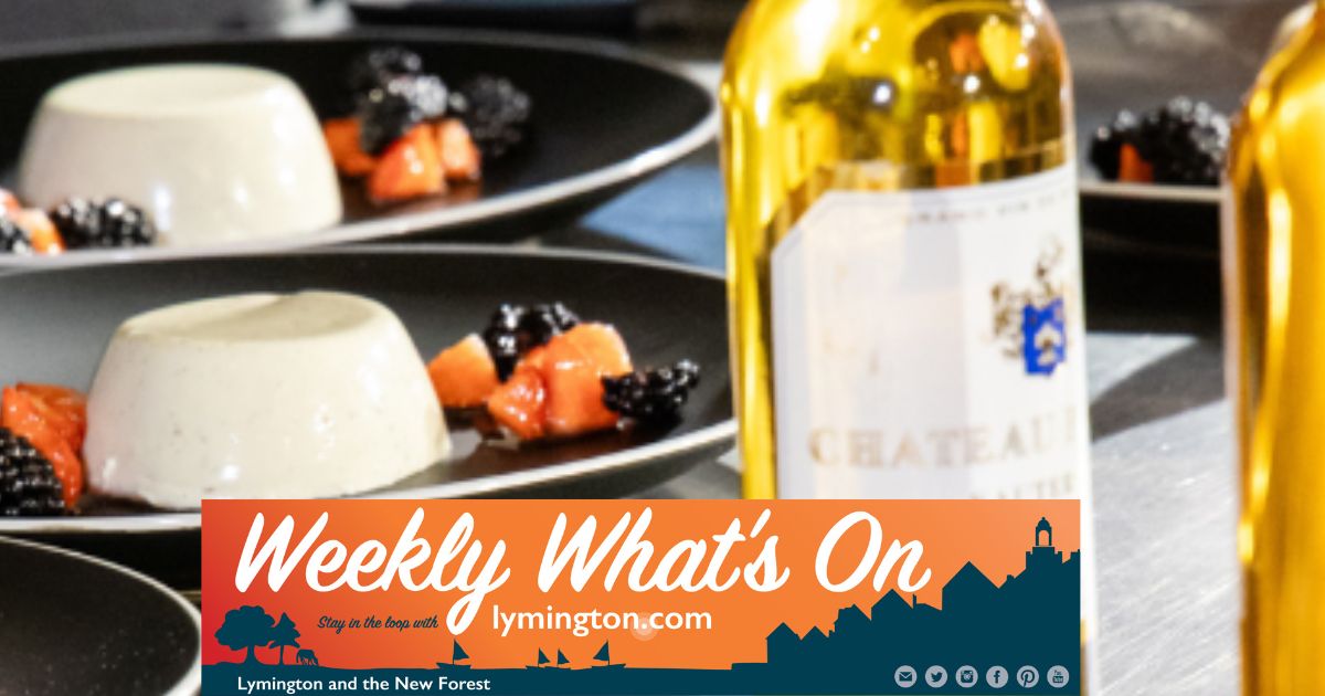 Spectacular forest sunset