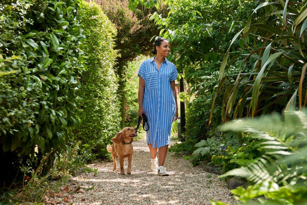 Dog walk garden 1000