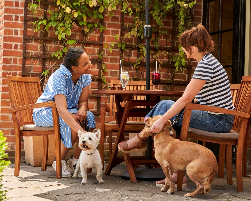 Montagu Arms Dogs 1000 wide