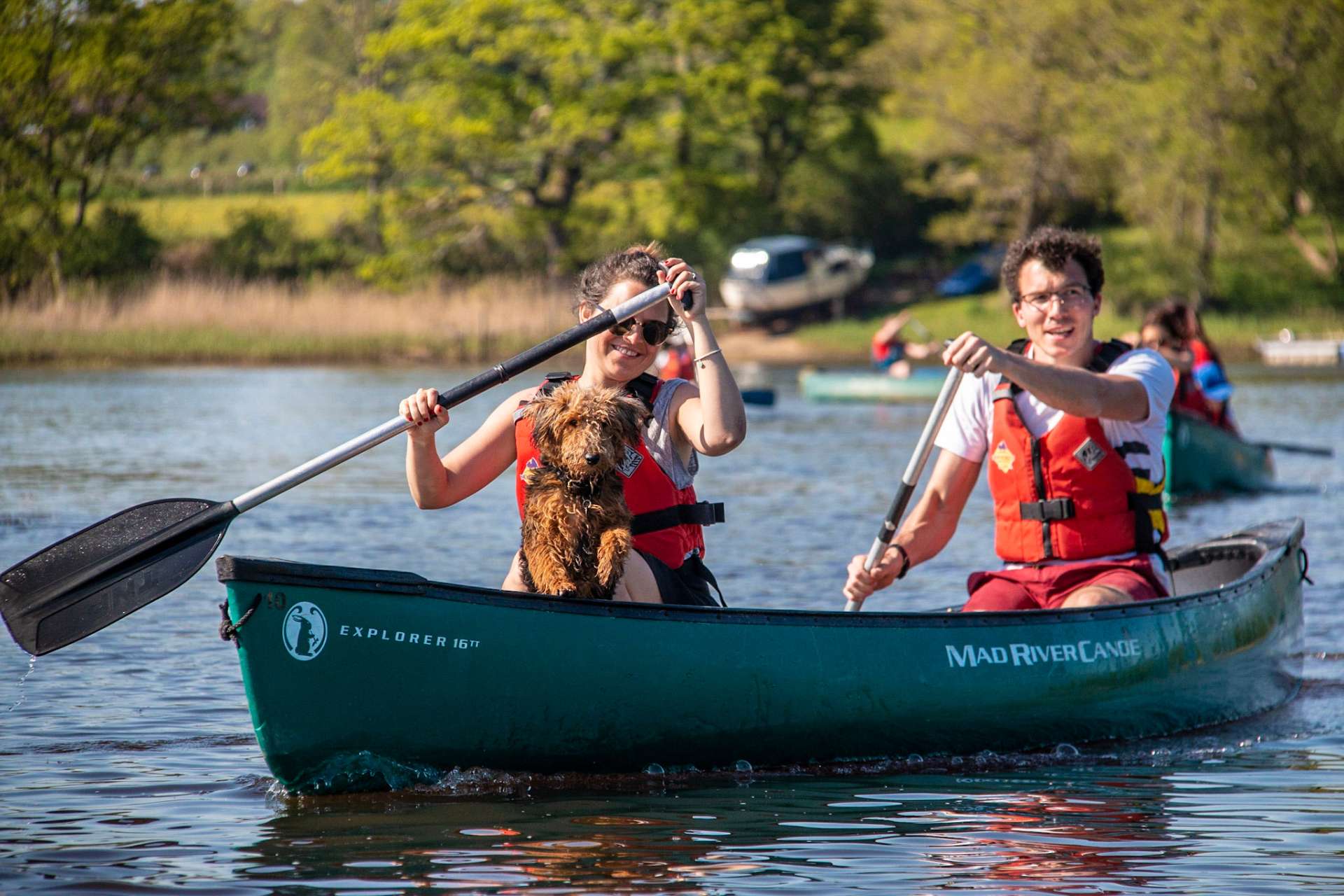 New Forest Activities Dog On Canoe