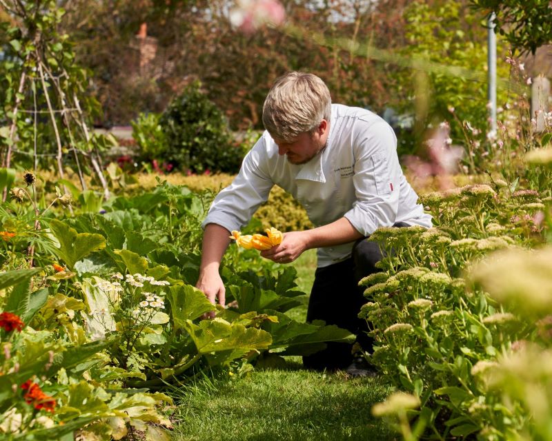Montagu Arms kitchen garden