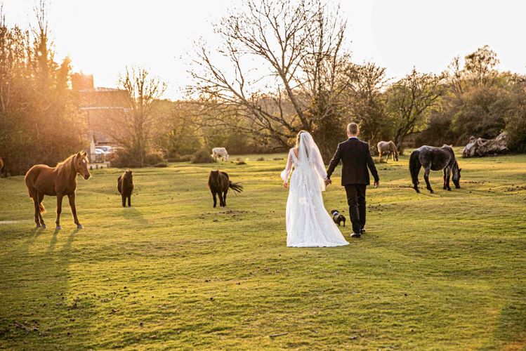 Balmer Lawn Hotel Brockenhurst best wedding venue 