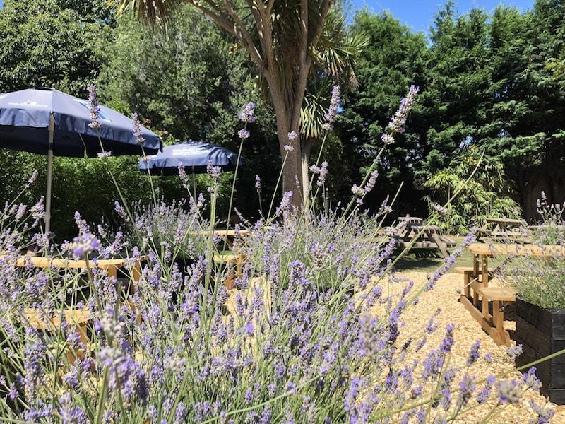 Bosuns chair garden summer