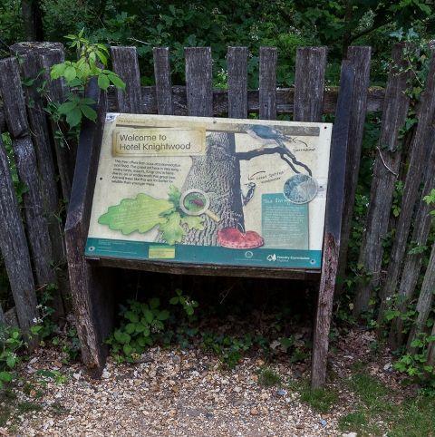 You will pass the tallest trees in the New Forest on the scenic route from Lymington to Frogham