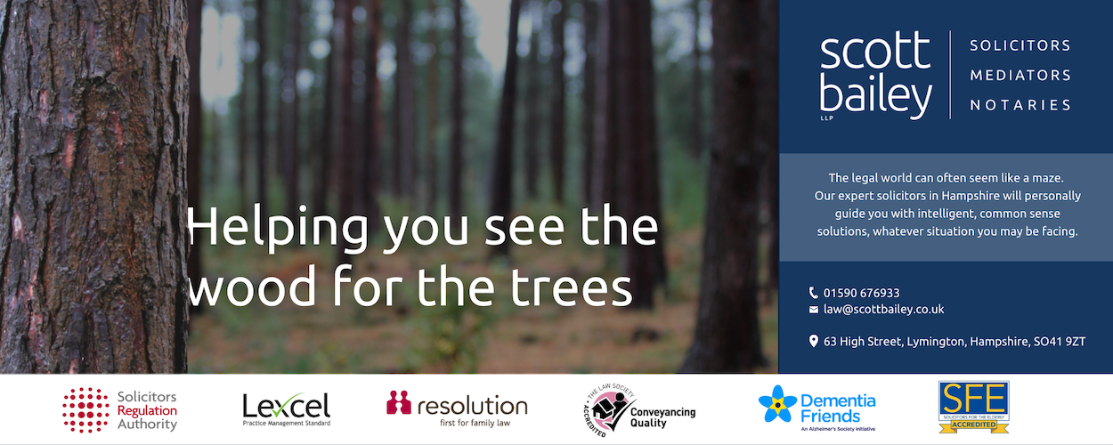 Trees in forest with words Helping you see the wood for the trees