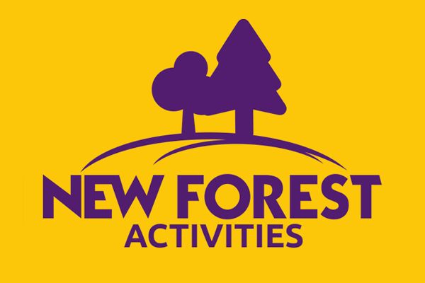New Forest Activities